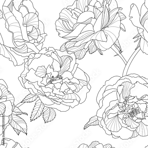 Vector floral seamless pattern. Black and white background with outline hand ...