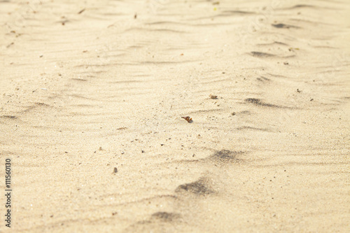 Small sand dunes on beach.