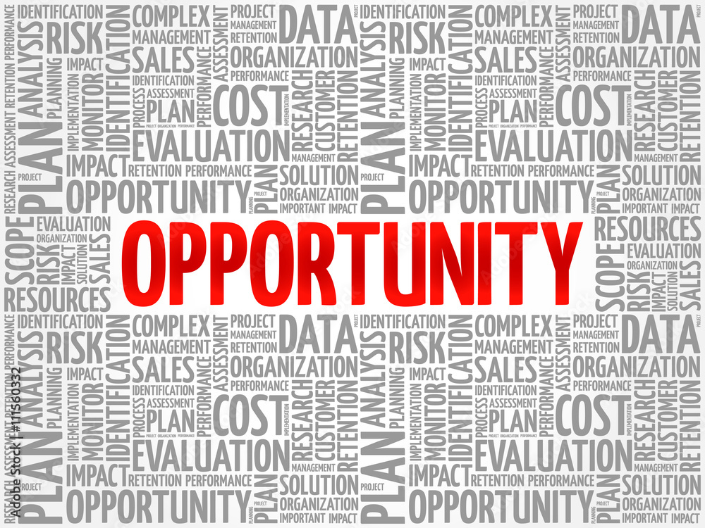 Opportunity and success word cloud, business concept Opportunity and success word cloud, business concept