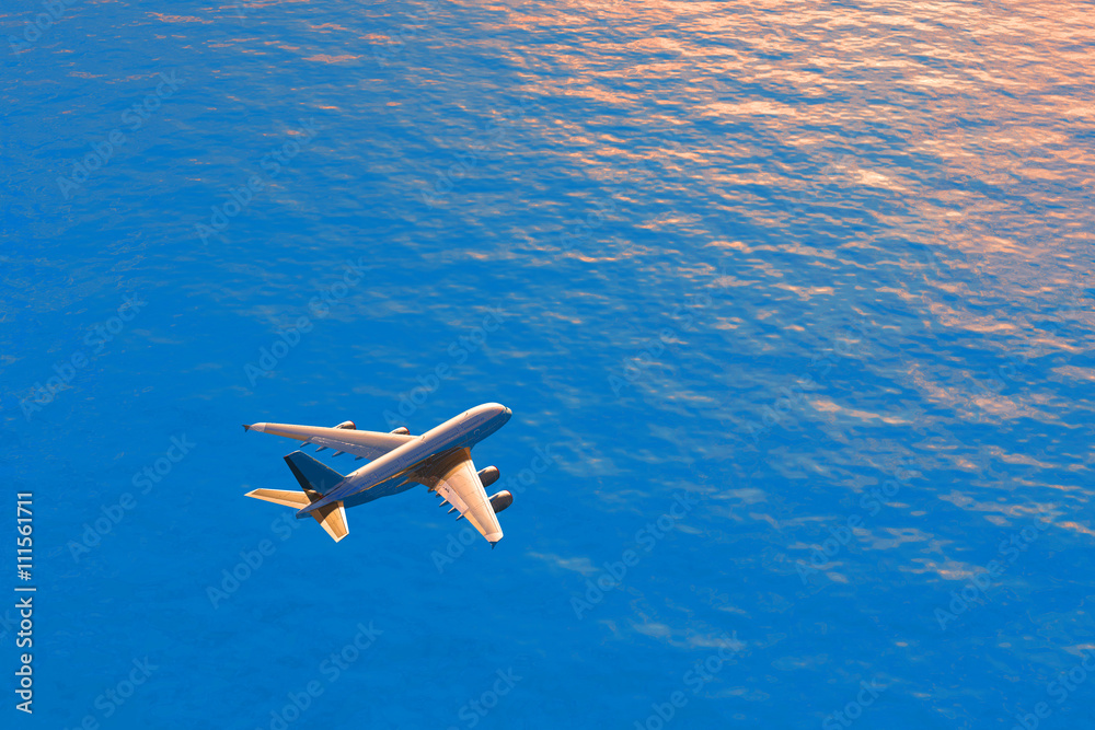 Obraz premium Passenger plane