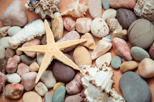 Sea stones and cockleshells