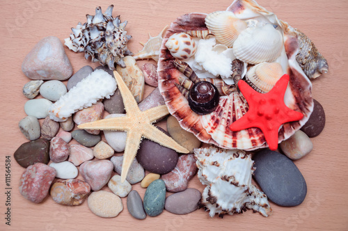 Canvastavla Sea stones and cockleshells