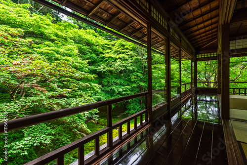 京都 新緑の瑠璃光院