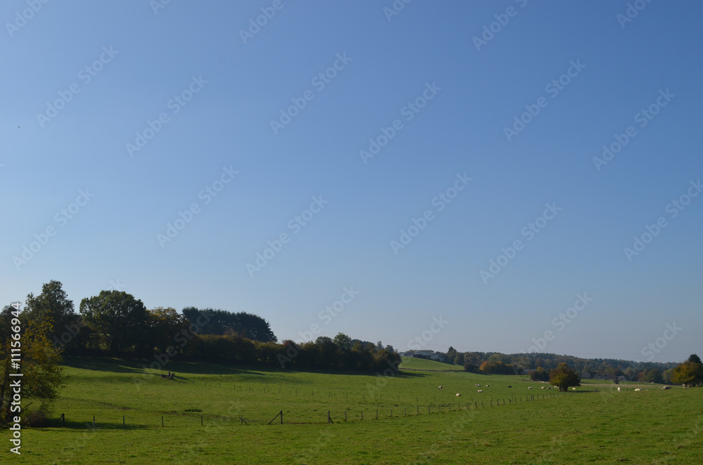 Rural area with autumn trees and green meadows on rolling hills, Yvoir, Wallonia