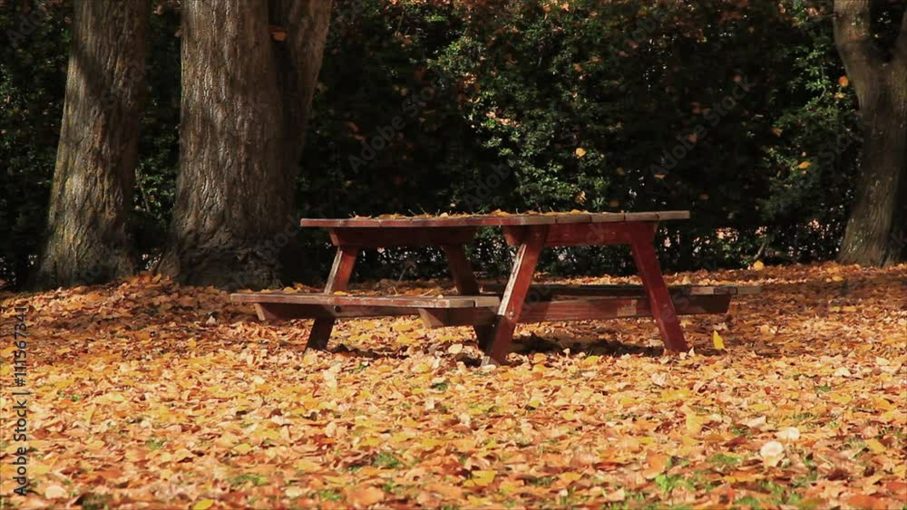 Hojas de Otoño Cayendo en una Mesa de Madera en un Parque Urbano
