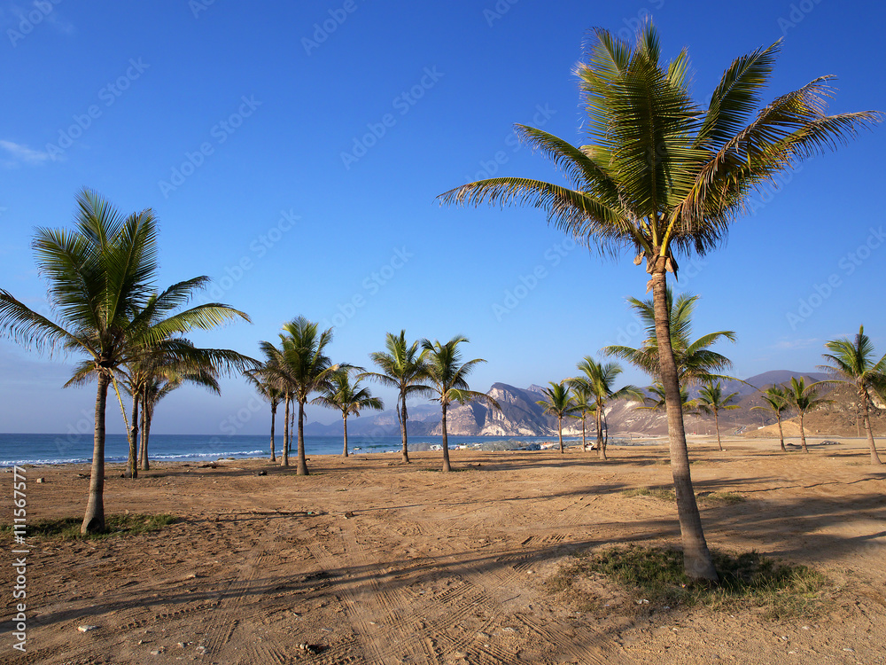 Beach in Al Mughsayl, Dhofar region, Sultanate of Oman