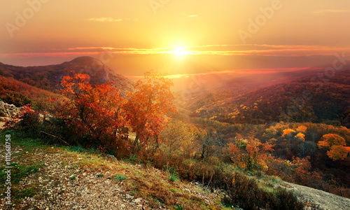 Fototapeta Naklejka Na Ścianę i Meble -  Red autumn in mountains