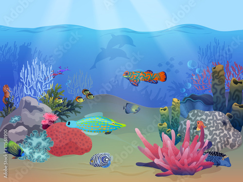 Sea ocean underwater landscape scene with colorful exotic fish, plants and coral reef.