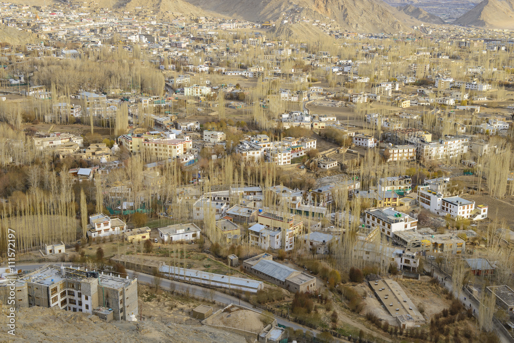 Obraz premium Leh city, Jammu and Kashmir, India
