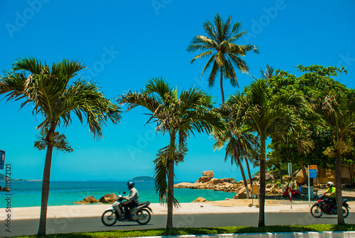 Palm trees. Nha Trang. Vietnam photo