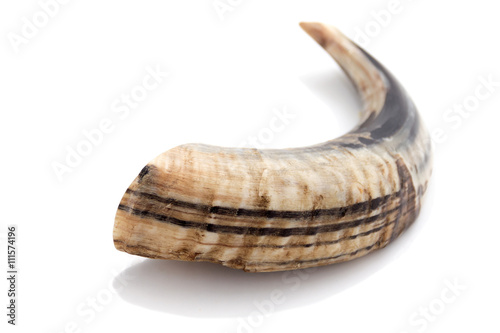 shofar
