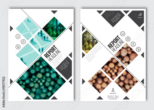 Business brochure design template. Vector flyer layout, blur background with elements for magazine, cover, poster design. A4 size.