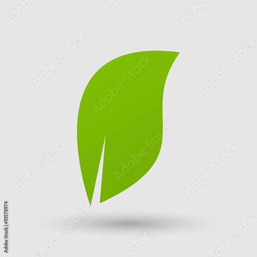 Eco icon leaf vector illustration isolated