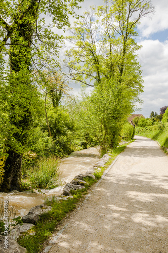 Arlesheim, Ermitage, Weiher, Park, Wanderweg, Baselland, Sommer, Schweiz