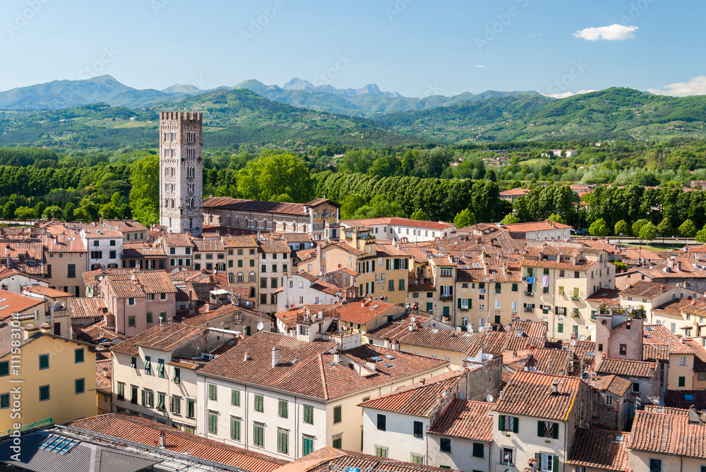 Aerial view of Lucca, in Tuscany, during a sunny afternoon