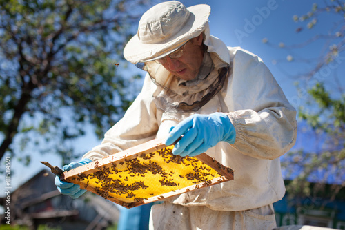 Canvastavla beekeeper