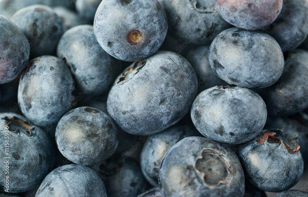 Bilberry or blueberry as texture background Bilberry or blueberry as texture background