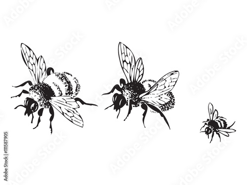 Vector engraving antique illustration of honey flying bees, isolated on white background. Set of flying bees in a row