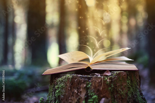 Принти на полотні Open book outdoor