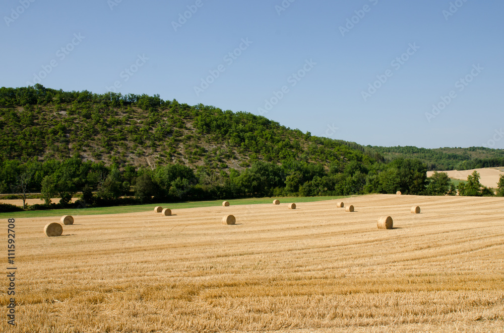 Hay bales lying in a French field
