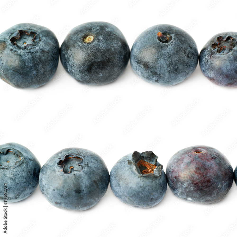 Line made of Bilberry or blueberry over isolated white background Line made of Bilberry or blueberry over isolated white background