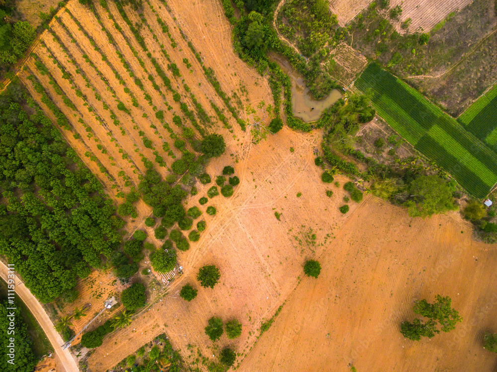 Fototapeta premium Aerial view of agricultural area