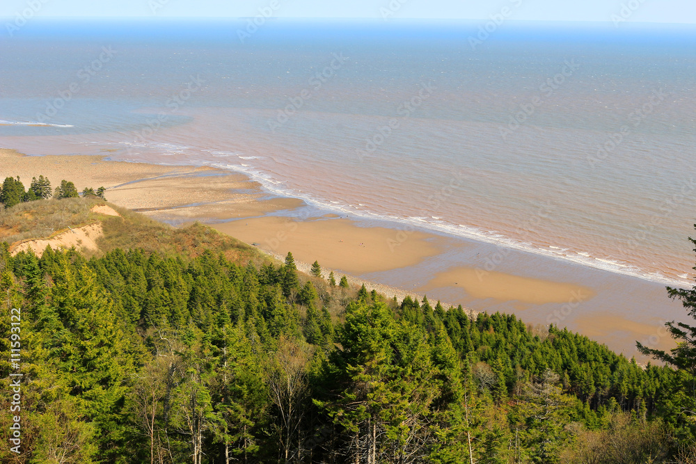 View of Long Beach on Fundy trail