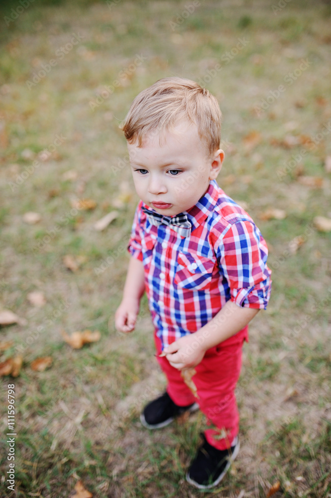 stylish baby boy in a plaid shirt and a bow tie Stock Photo | Adobe Stock