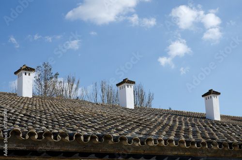 Typical andalucian style roof and chimneys in southern spain