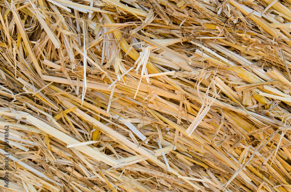 Close up of straw texture Close up of straw texture