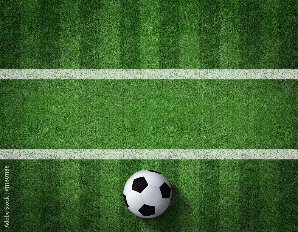 Soccer field with soccer ball and line Soccer field with soccer ball and line