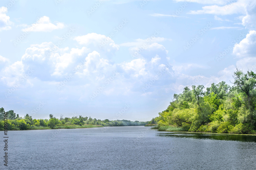 Obraz premium landscape river Dnieper marshes and Kherson