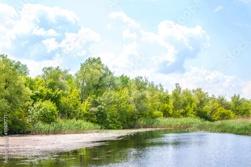 Fototapeta Naklejka Na Ścianę i Meble -  landscape river Dnieper marshes and Kherson