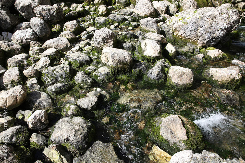 Pile stones in river with moss
