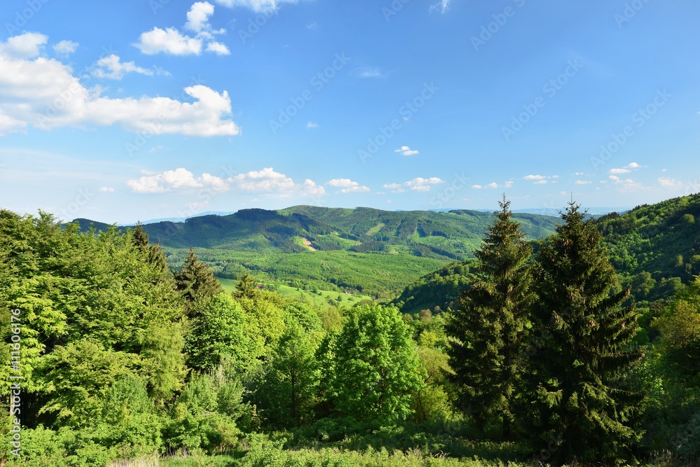 Beautiful landscape in the mountains in summer. Czech Republic - the White Carpathians - Europe.