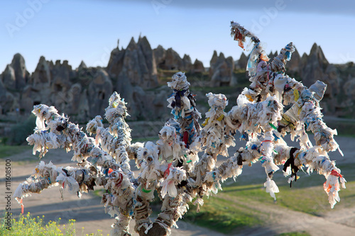 Obraz na plátně Tree Of Wishes in Cappadocia, Turkey