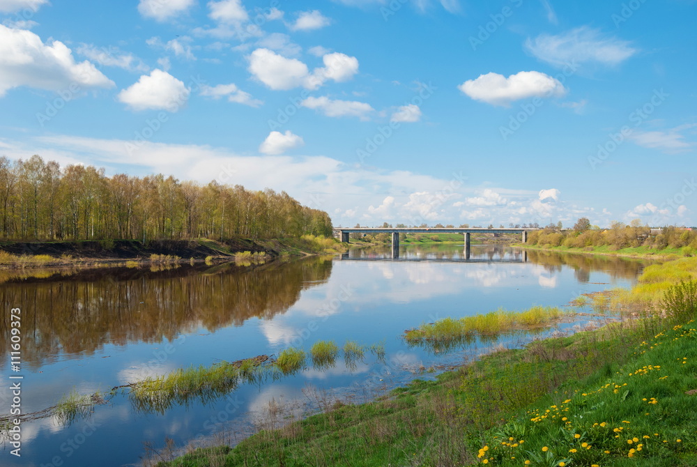 Summer landscape with a river, with dandelions and a bridge