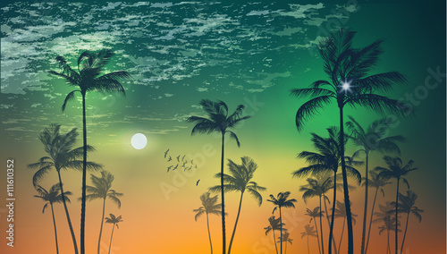 Exotic tropical palm trees at sunset or moonlight, with cloudy sky. Highly detailed and editable 