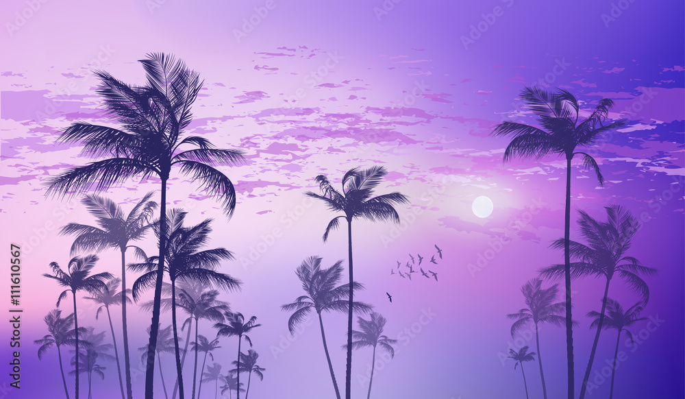 Exotic tropical palm trees  at sunset or moonlight, with cloudy sky. Highly detailed  and editable
