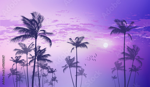 Exotic tropical palm trees at sunset or moonlight, with cloudy sky. Highly detailed and editable 