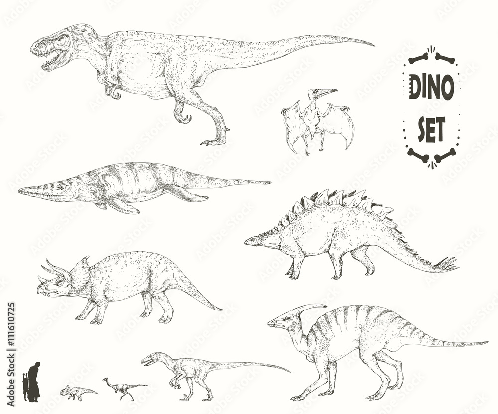 Naklejka Zestaw sylwetek szkieletów dinozaurów i skamieniałości. Ręcznie rysowane ilustracji wektorowych. Sylwetki mężczyzny i dzieci, porównanie rozmiarów, realistyczny rozmiar.