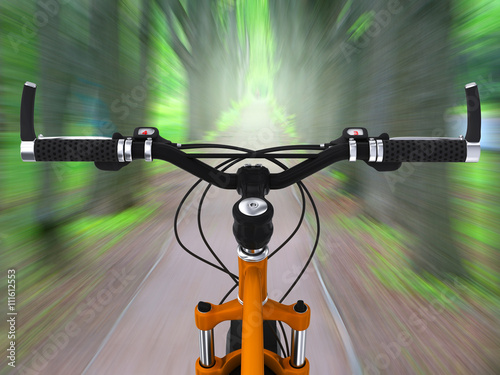 View from bikers eyes during riding in the forest
