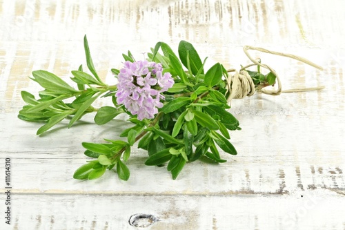 bunch of thyme on wooden background