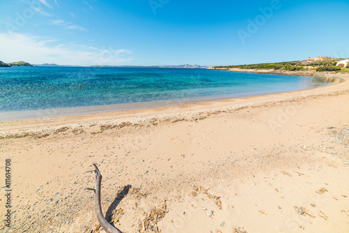 Driftwood in Cala del Faro beach