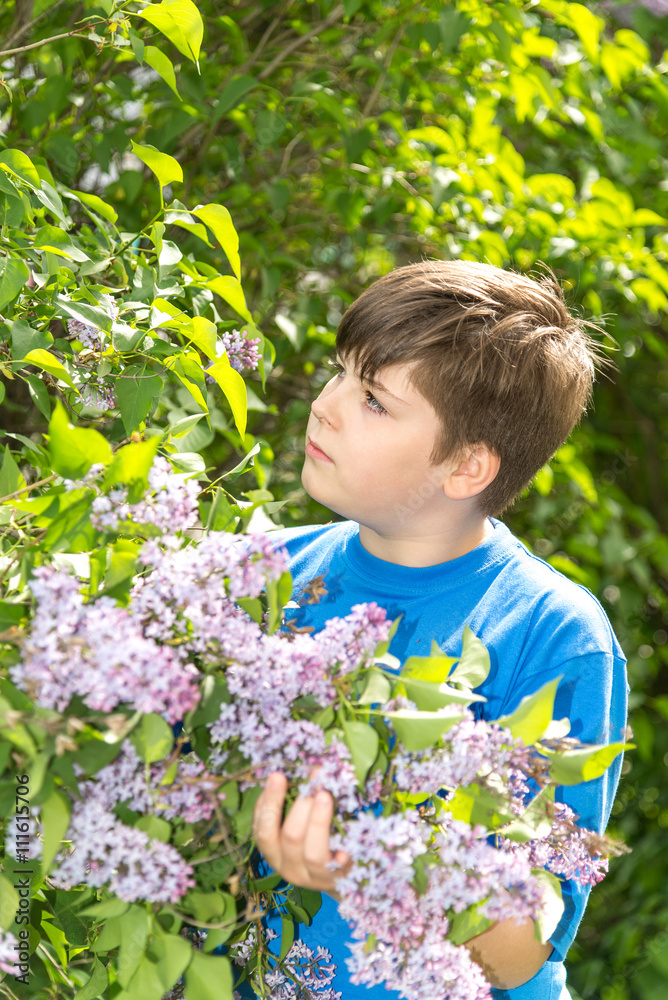 Portrait of boy in park with blooming lilacs Portrait of boy in park with blooming lilacs
