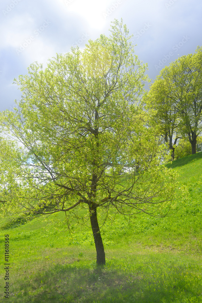 Landscape in park in the fortress of Lappeenranta, Landscape in park in the fortress of Lappeenranta,
