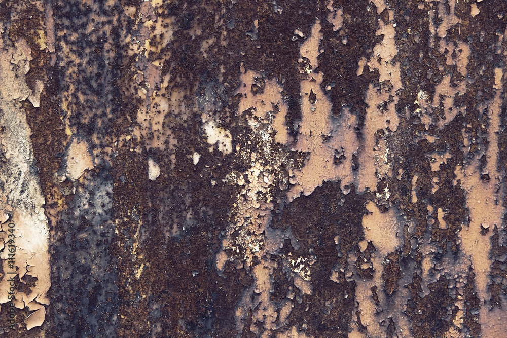 peeling paint on the wall peeling paint on the wall