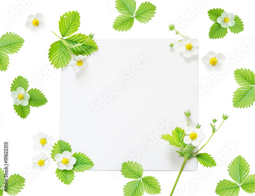 Frame with flowers and leav...