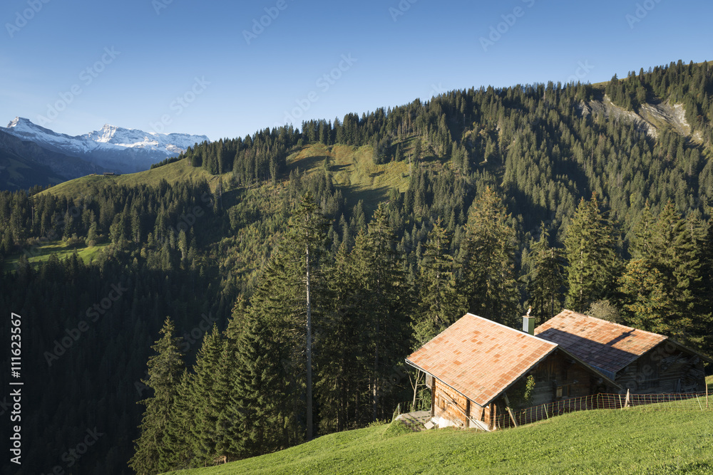 Schweiz, Landschaft bei Frutigen