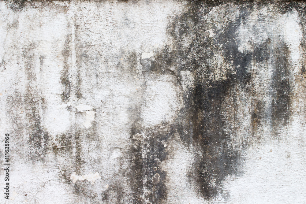 Obraz premium white concrete wall texture